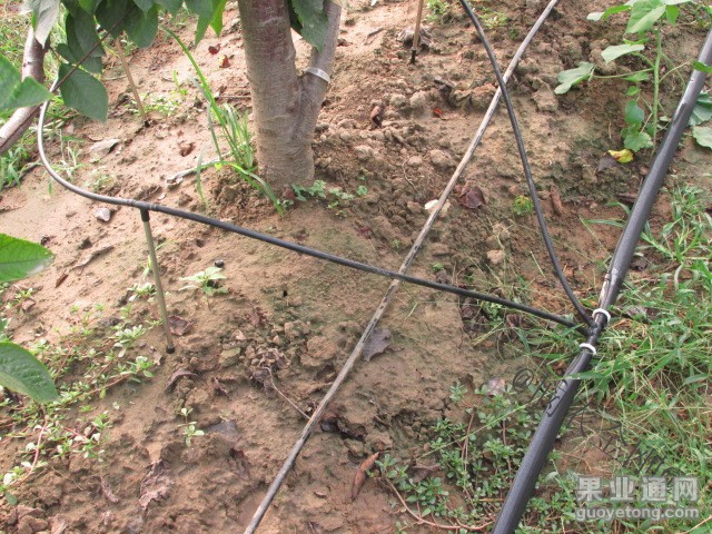 20131101094718734.jpg