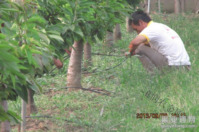 20131101094756169.jpg