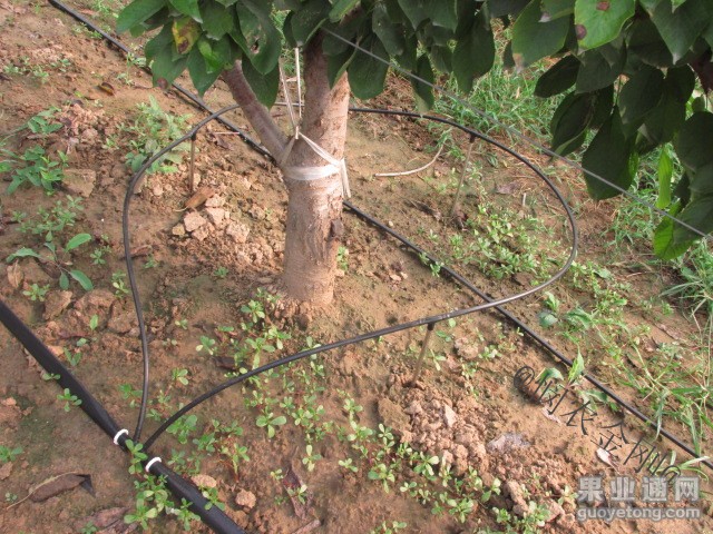 20131101094846994.jpg