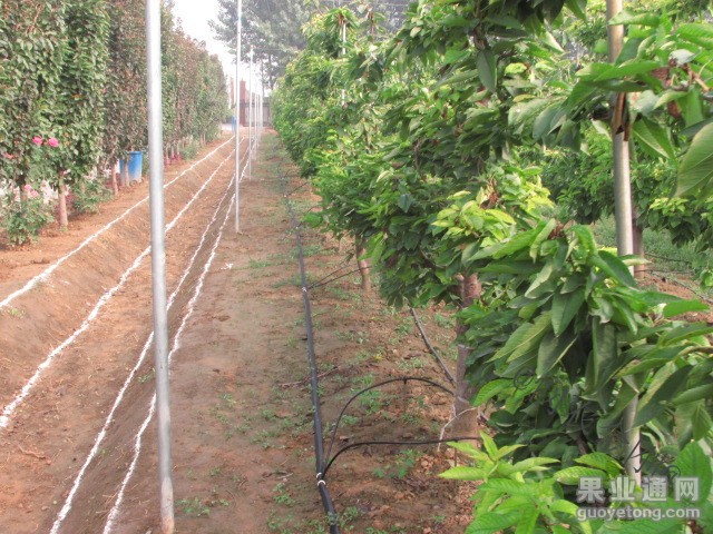 20131101094855865.jpg