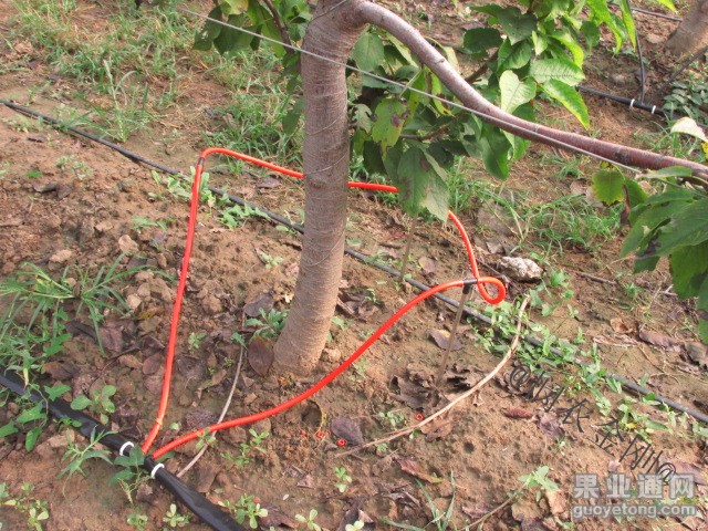20131101094920315.jpg