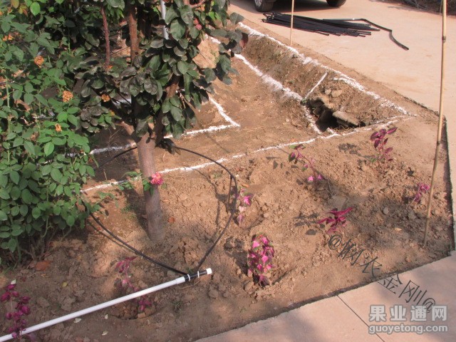 20131101094949286.jpg