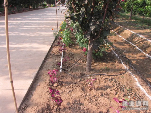 20131101094938280.jpg