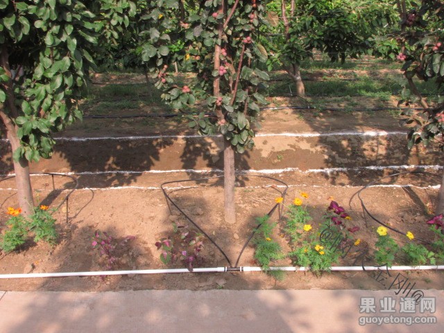 20131101094957643.jpg