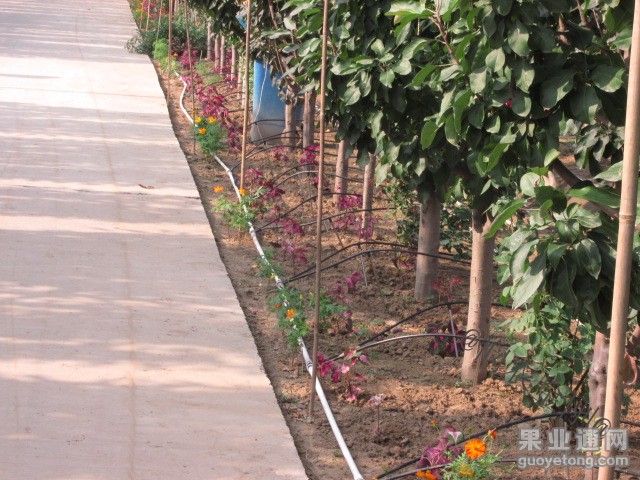 20131101095013175.jpg