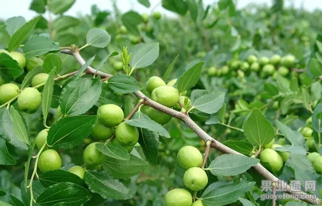 640.webp (1) - 副本.jpg