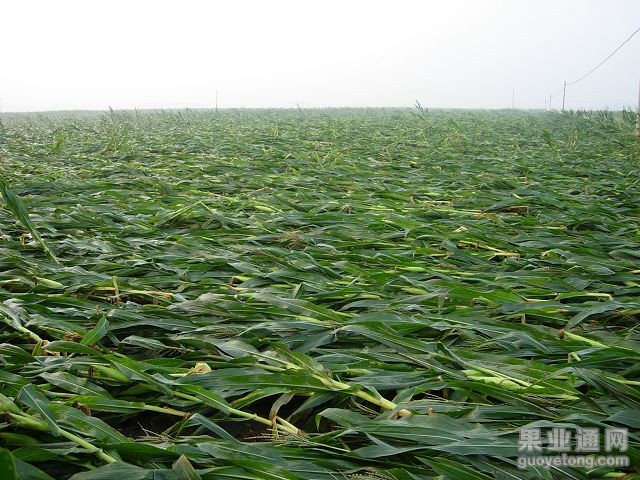 200908271216142.jpg