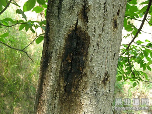 20110830ljw.jpg