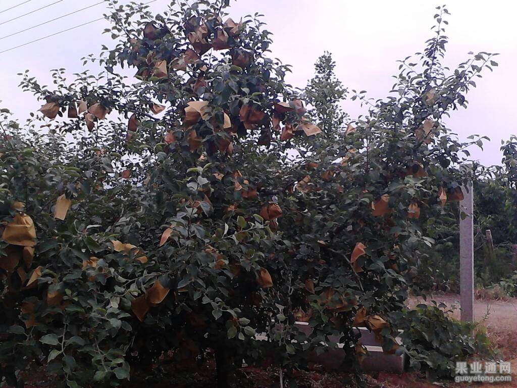 122503ykej0k1thknjekzh.jpg