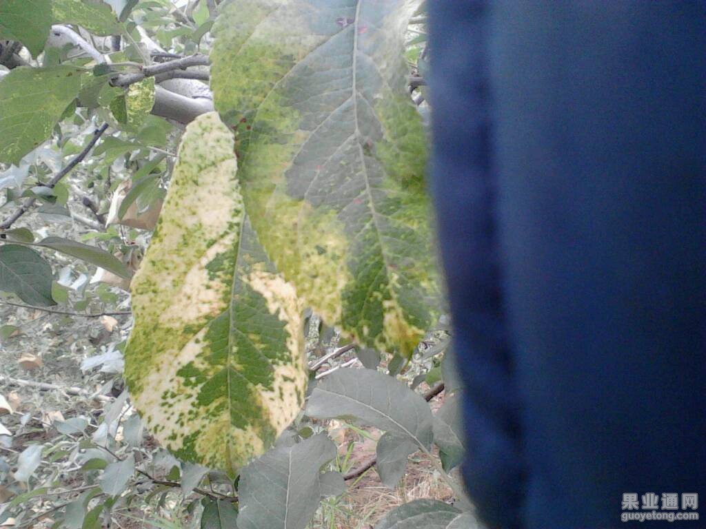 163038a9lvrrg919lmaeyy.jpg