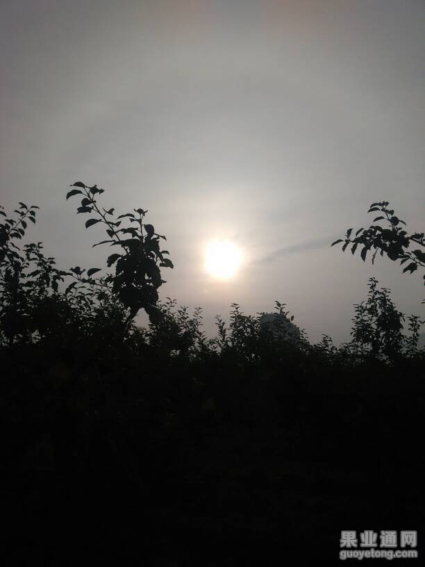 132358x86m1q1izkm45grm.jpg