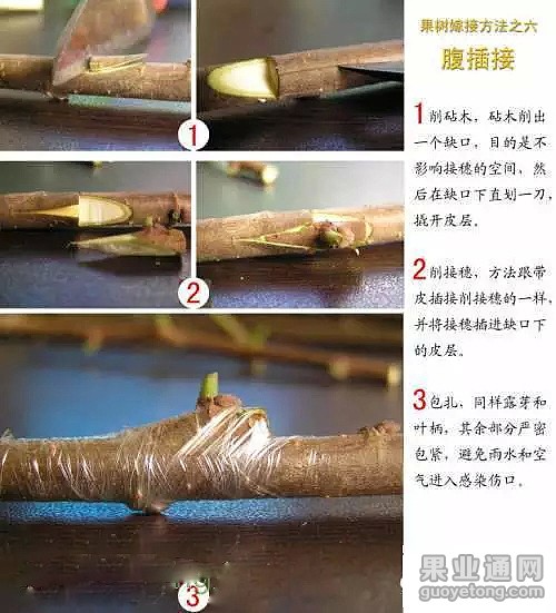 0.webp (6).jpg