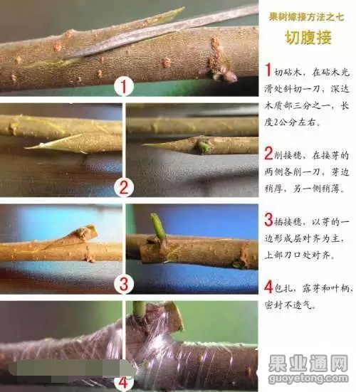 0.webp (7).jpg