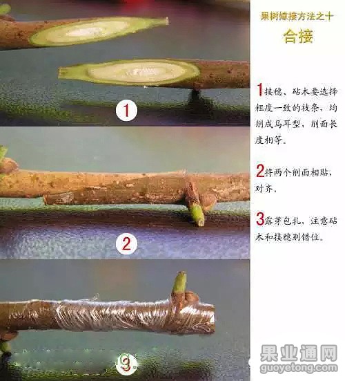 0.webp (10).jpg