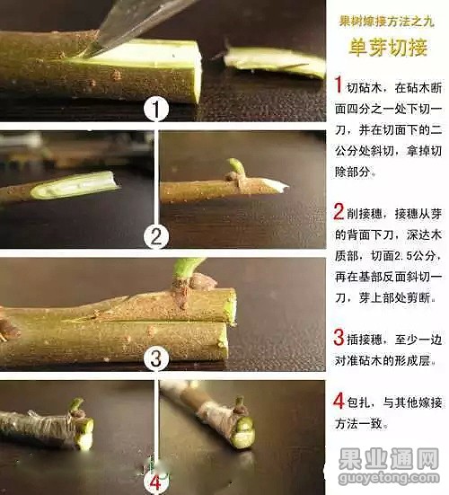 0.webp (9).jpg