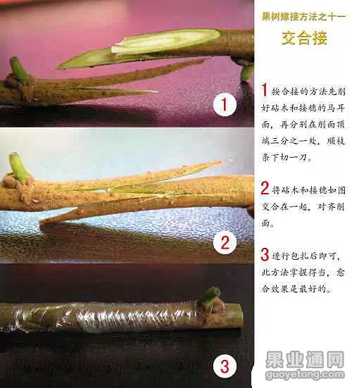 0.webp (11).jpg