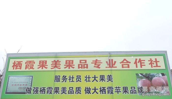 P1000087.JPG