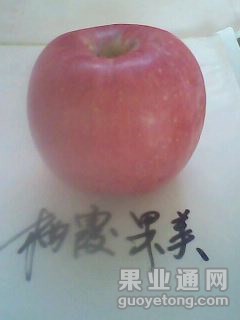 20131027A016.jpg