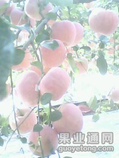 20141028A134.jpg