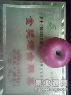 20131029A024.jpg