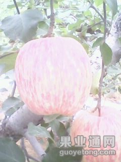 20141030A136.jpg