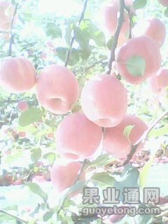 20141028A128.jpg