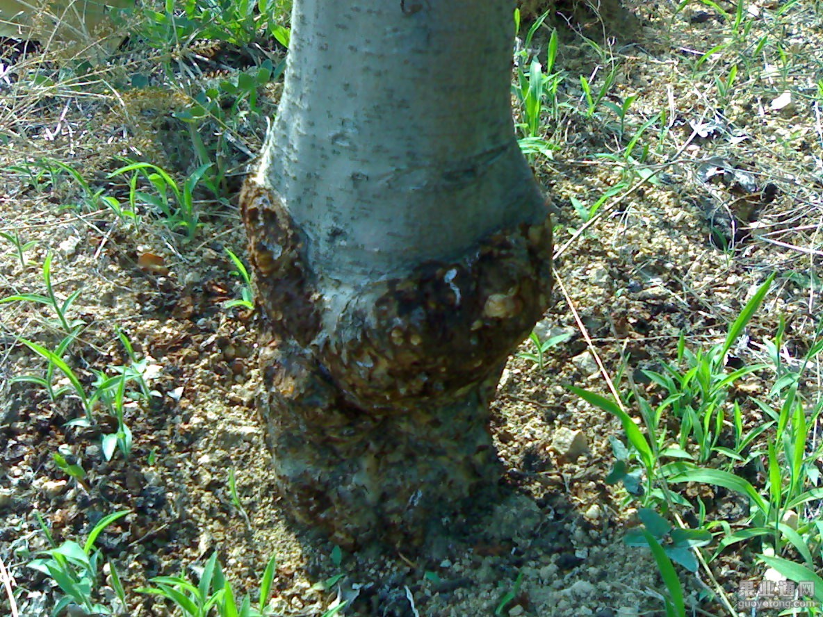 20150701733.jpg