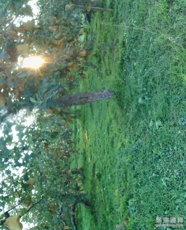 094527wkub554bggldhmdz.jpg