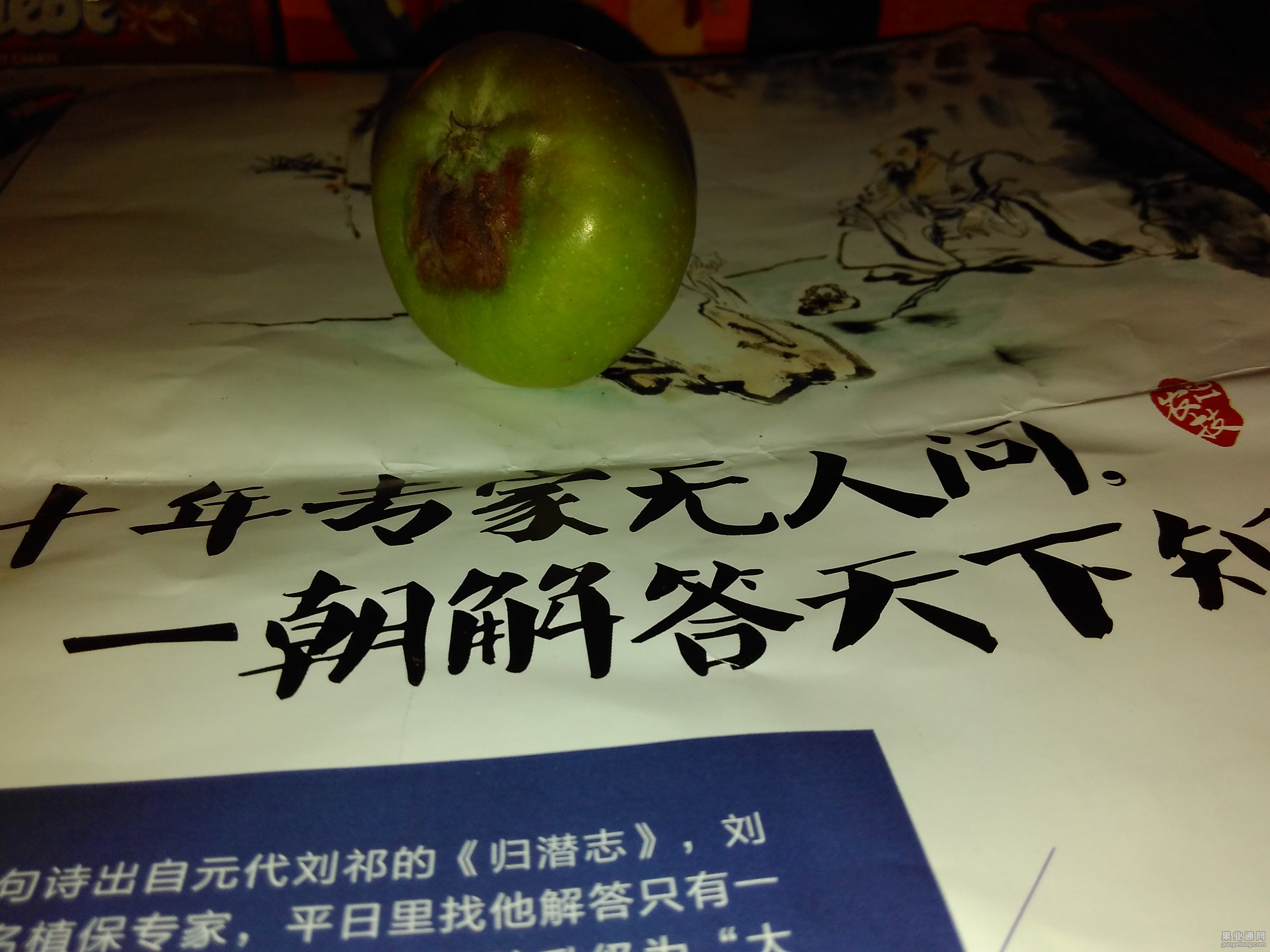 IMG_20150707_181512.jpg