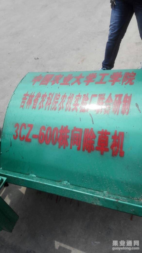 071557gptafya6g31664ay.jpg