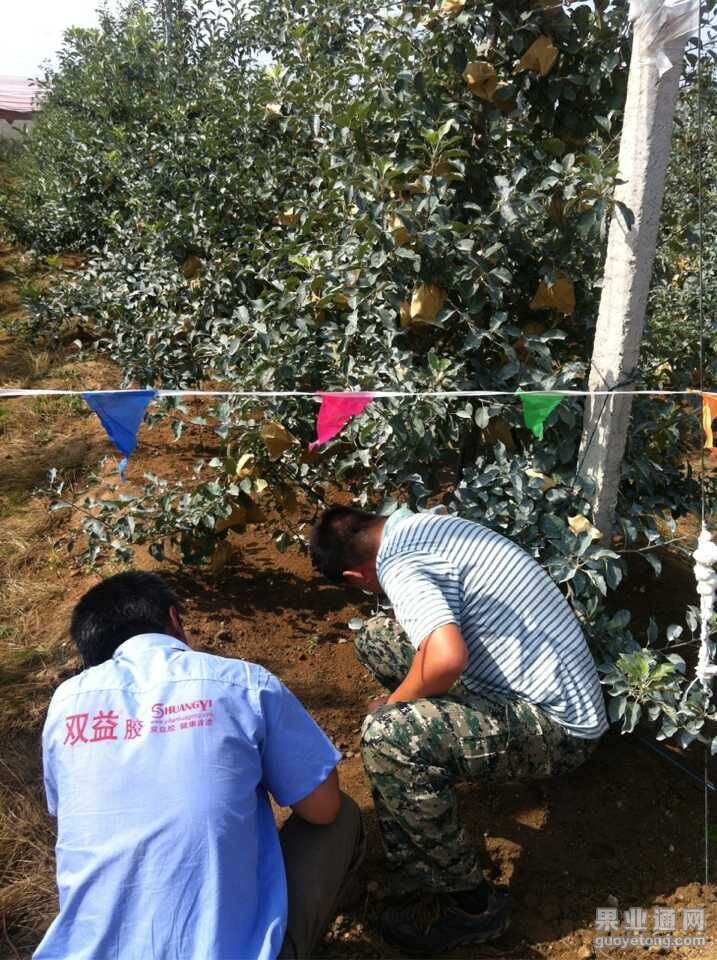 QQ图片20150722103921.jpg