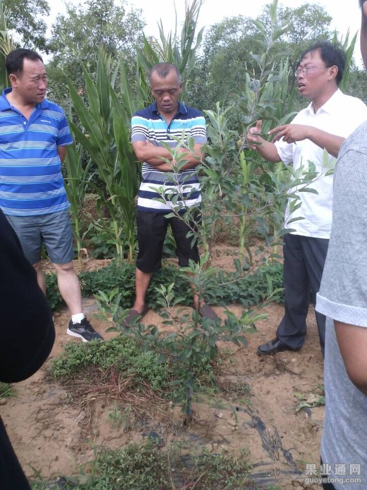QQ图片20150722104327.jpg