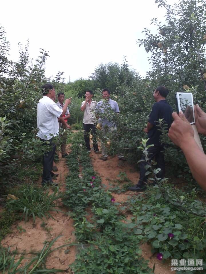 QQ图片20150722104358.jpg