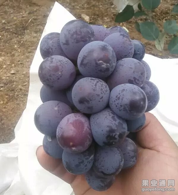QQ截图20150722151958.jpg