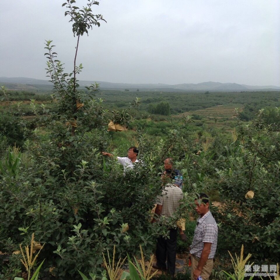 QQ图片20150723191014.jpg