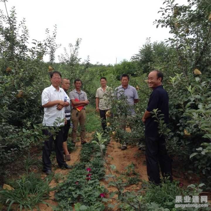 QQ图片20150723191120.jpg