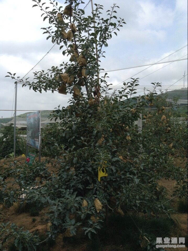 QQ图片20150723191059.jpg