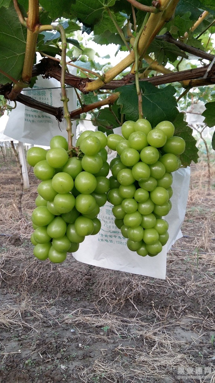 20150722_175723.jpg