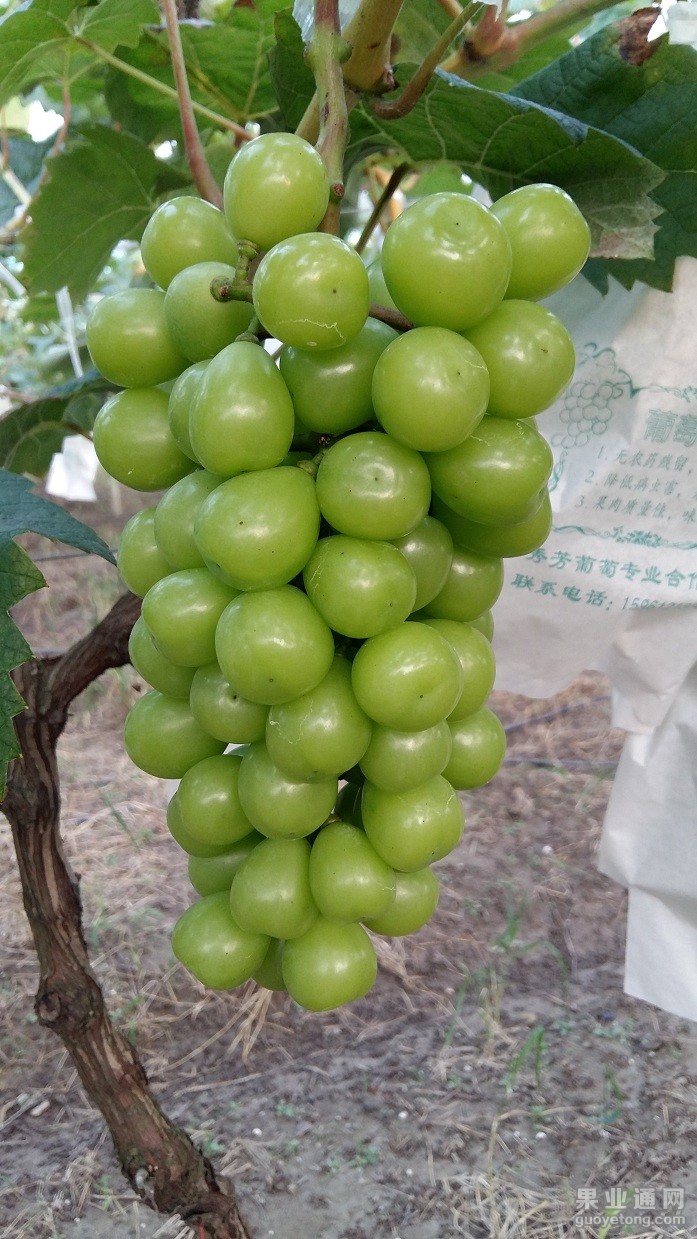 20150722_180114.jpg