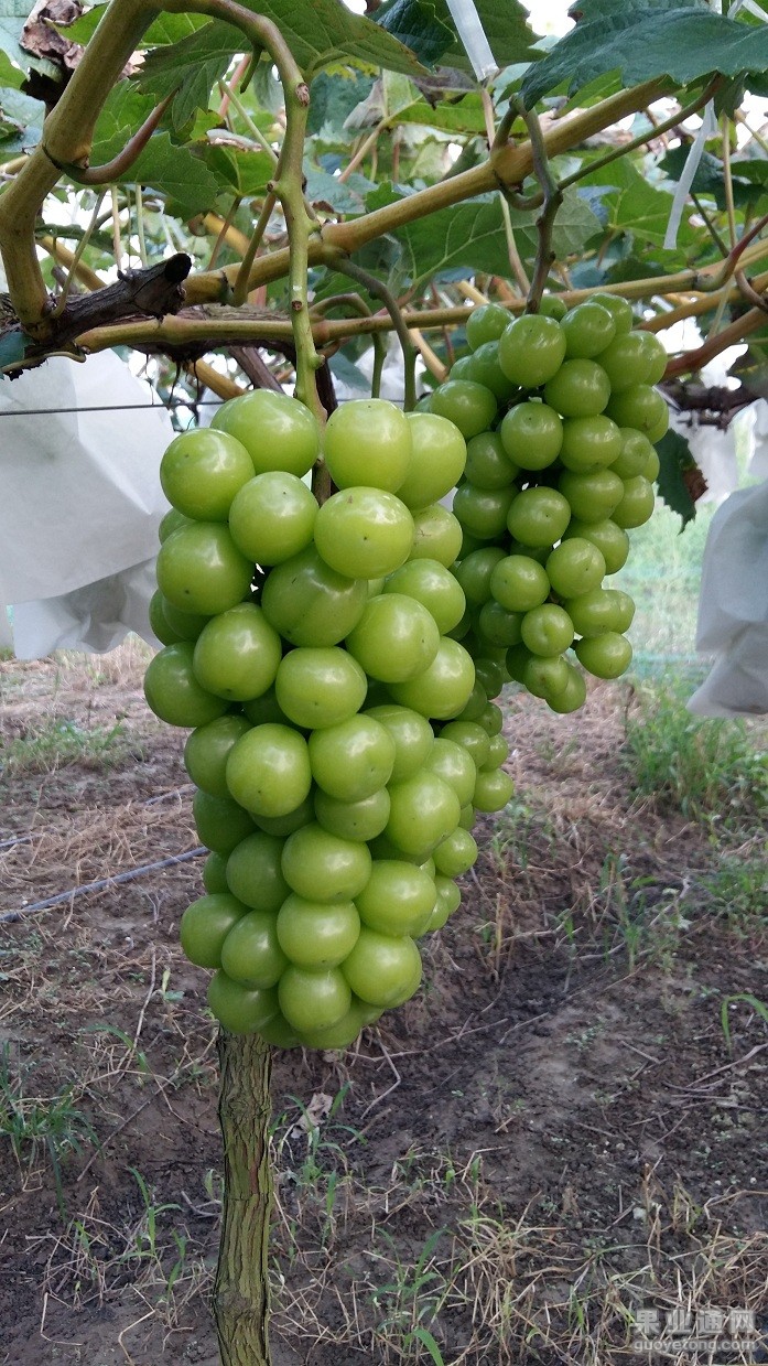 20150722_180405.jpg