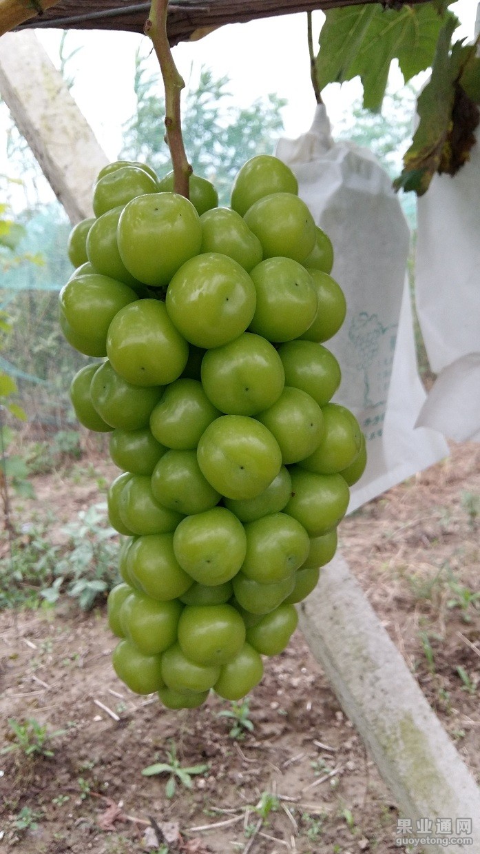 20150722_183131.jpg