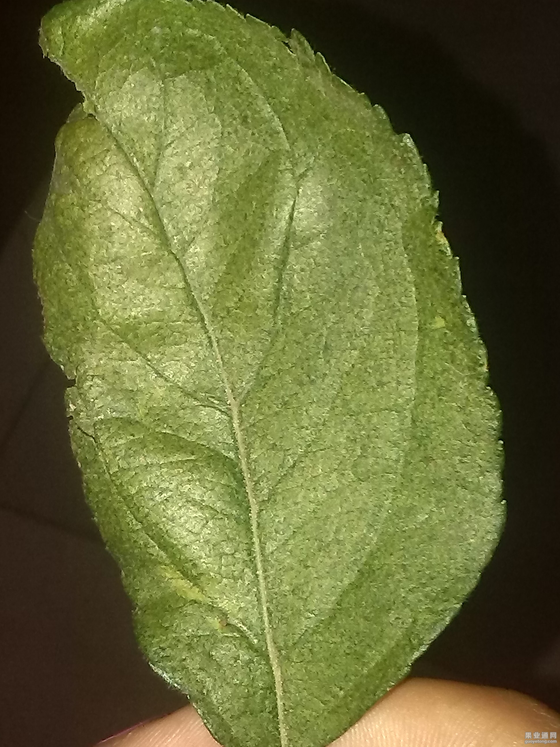 IMG_20150725_190632.jpg