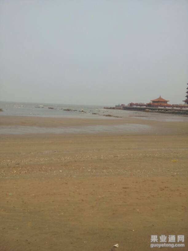 141042smnhqq2rwxn2qnfz.jpg