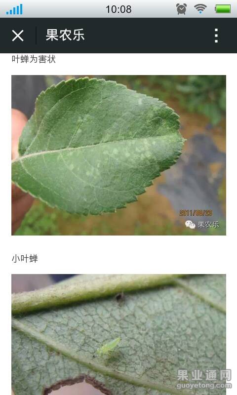 101059yi95z5mmqhmv7m5m.png