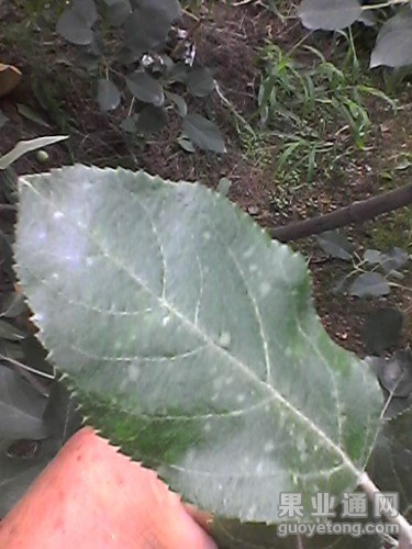 Photo0037.jpg