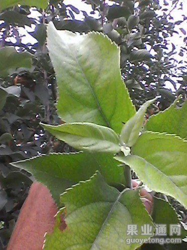 Photo0033.jpg