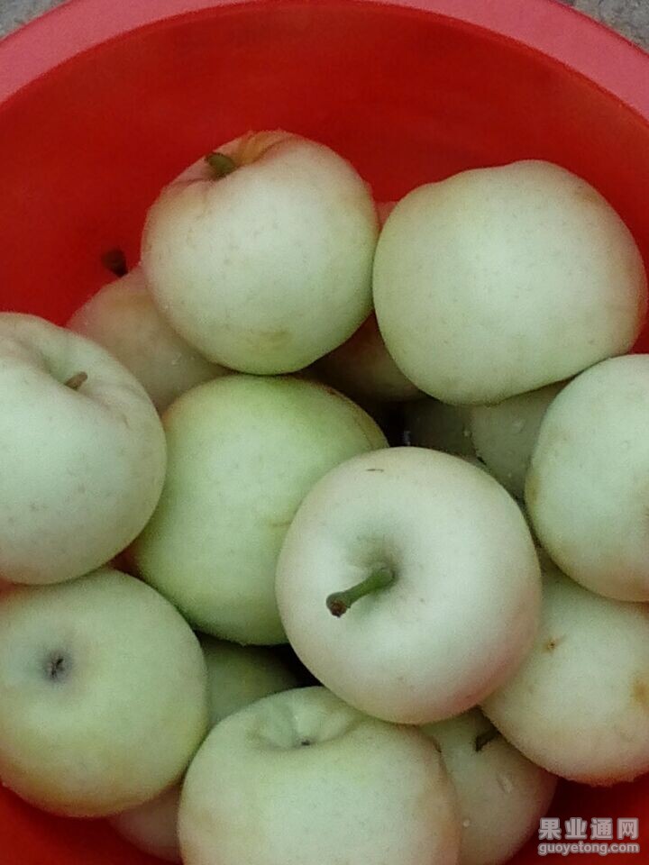 QQ图片20150805091527.jpg