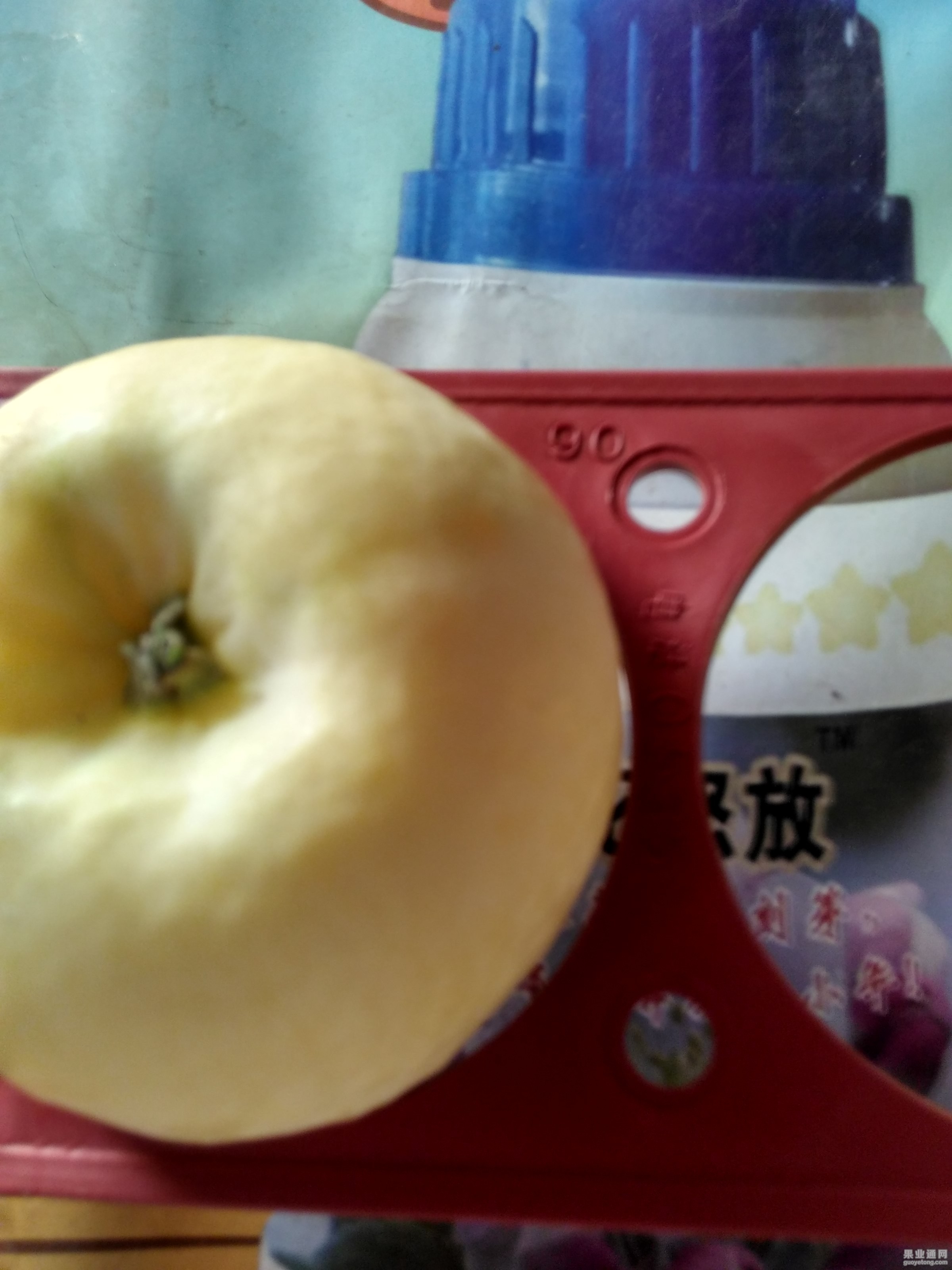 IMG_20150806_090102_HDR.jpg