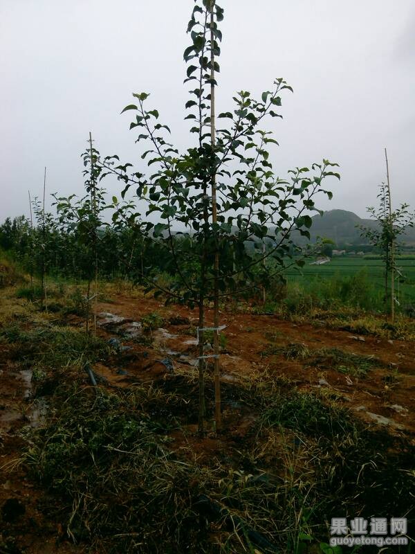 140139wraiqib76fm6cjjc.jpg
