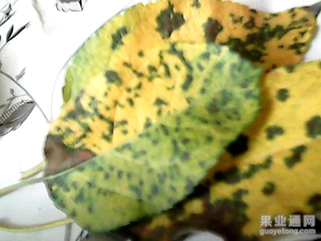 图片 010.jpg